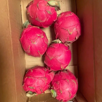 Dragon Fruit Seeds - Verdseeds