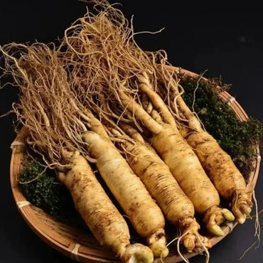 Ginseng Seeds - Verdseeds