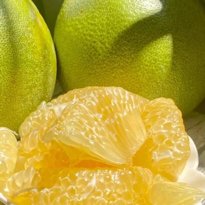 Golden Thread Pomelo Seeds - Verdseeds