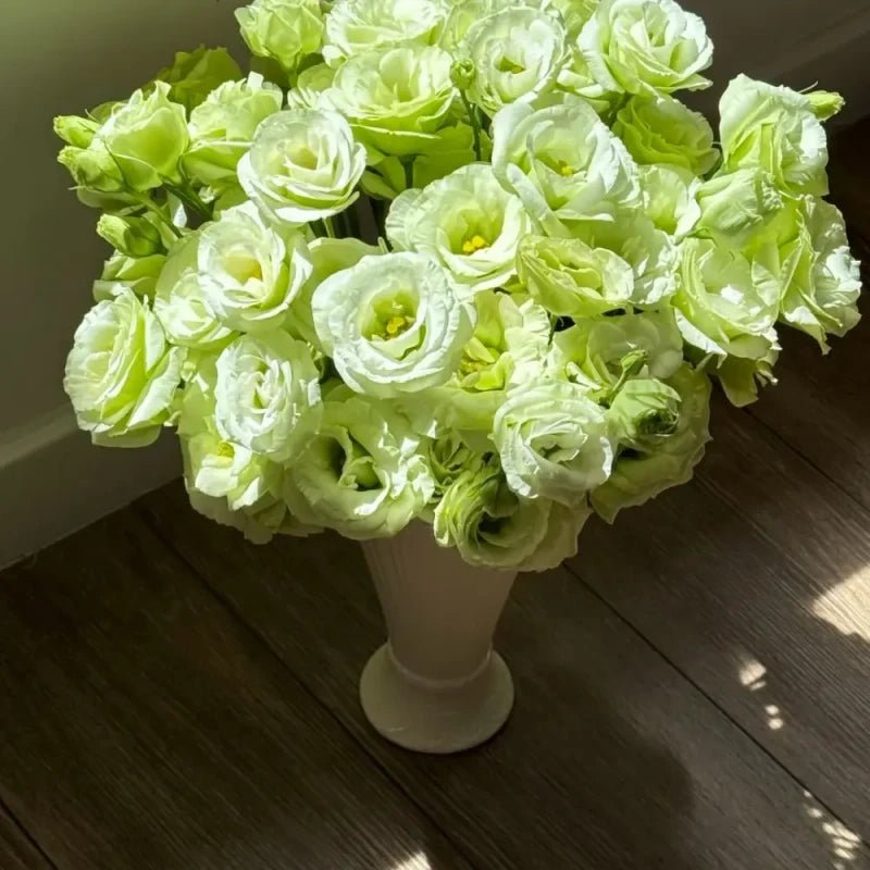 Green Lisianthus Seeds - Verdseeds