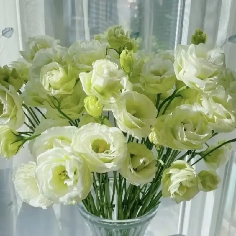 Green Lisianthus Seeds - Verdseeds
