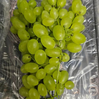 Green Seedless Grape Seeds - Verdseeds