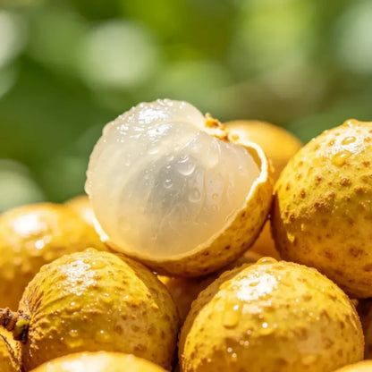 Longan Seeds