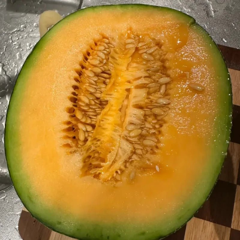Hami Melon Seeds - Verdseeds