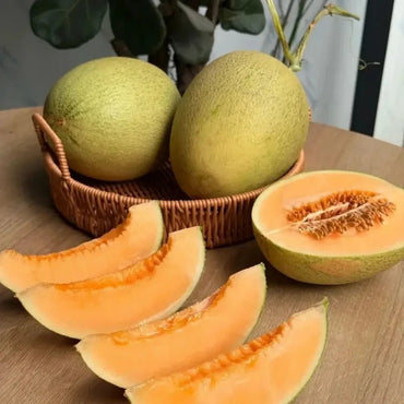 Hami Melon Seeds - Verdseeds
