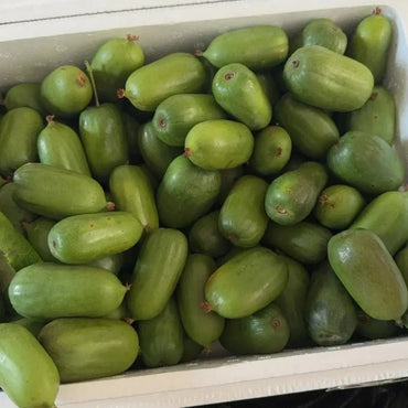 Hardy Kiwi Seeds - Verdseeds