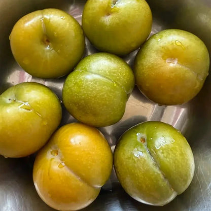 Honey Plum Seeds - Verdseeds