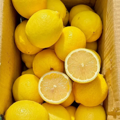 Yellow Lemon Seeds
