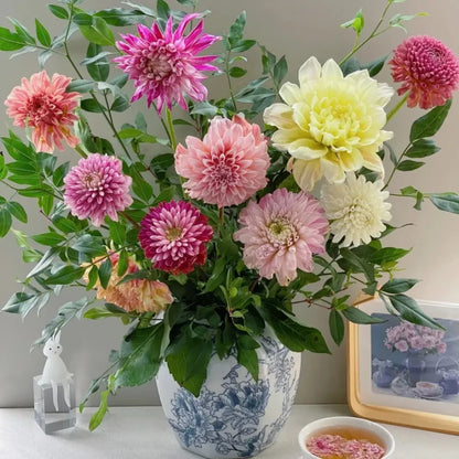 Giant Mixed Colors Dahlia Seeds