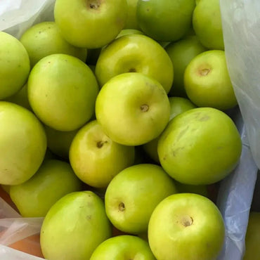 Indian Jujube Seeds - Verdseeds