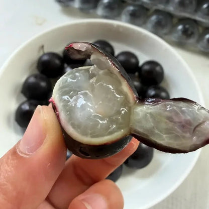 Jaboticaba Seeds - Verdseeds
