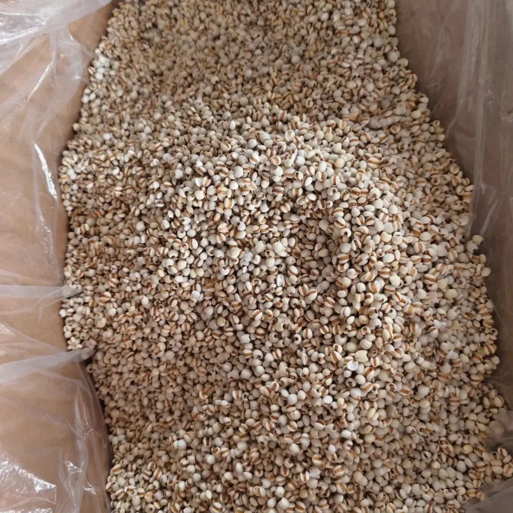 Job's Tears Seeds - Verdseeds