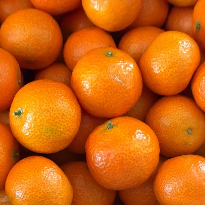 Mandarin Orange Seeds