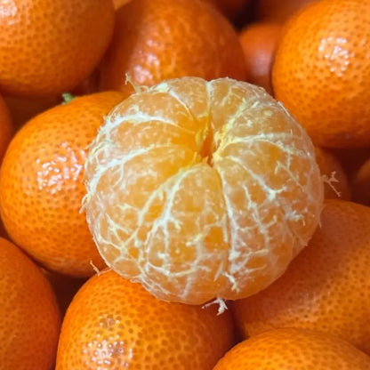 Mandarin Orange Seeds
