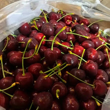 Kordia Sweet Cherry Seeds - Verdseeds