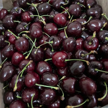 Lapins Sweet Cherry Seeds - Verdseeds