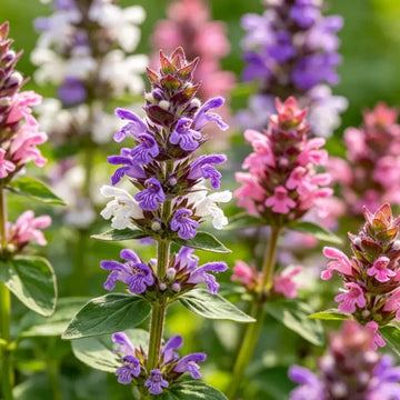 Self-heal
