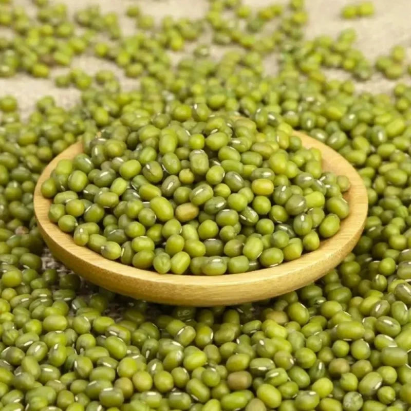 Mung Bean Seeds