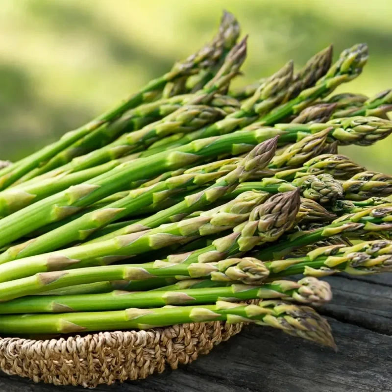 Asparagus Seeds
