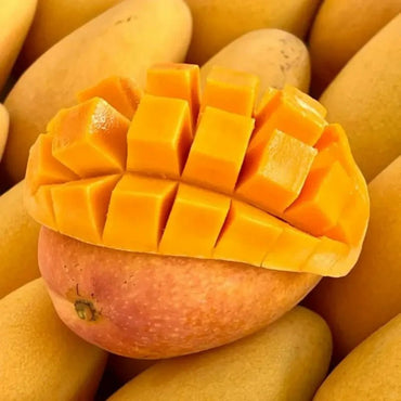 Mango Seeds - Verdseeds