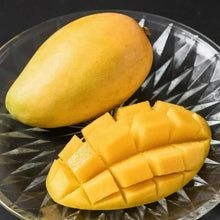 Mango Seeds - Verdseeds