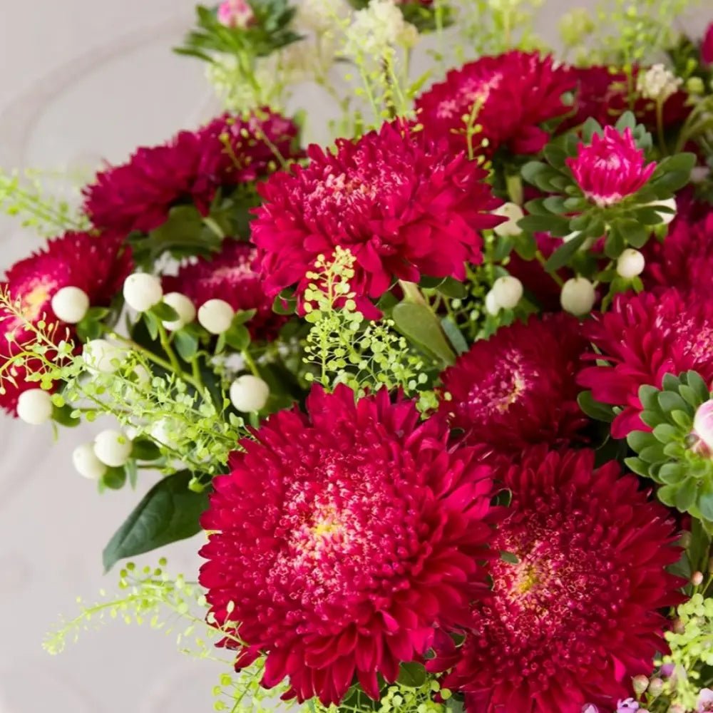 Mixed Color China Aster Seeds - Verdseeds