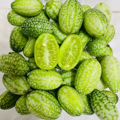 Mouse Melon Seeds - Verdseeds