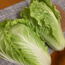 Napa Cabbage Seeds - Verdseeds