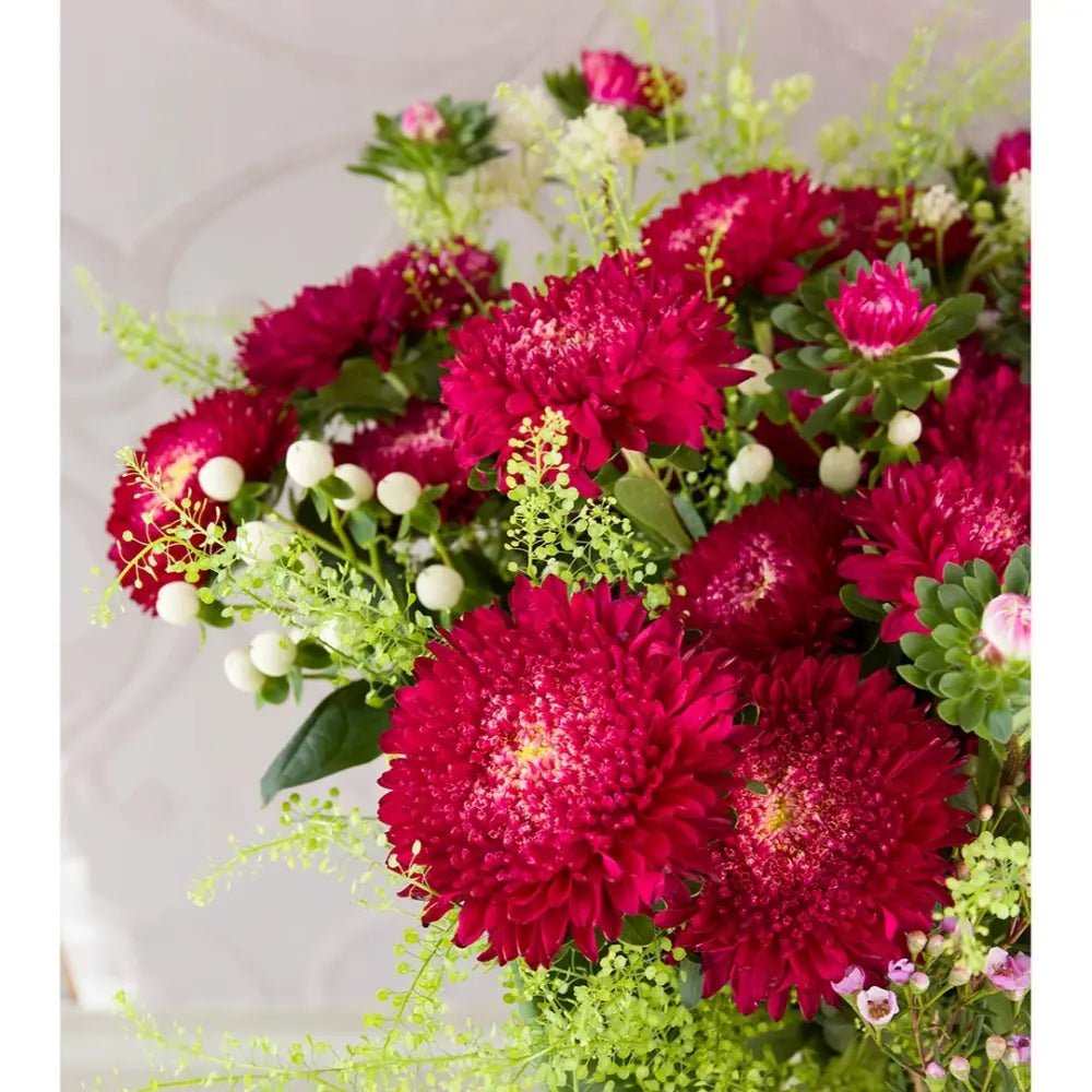 National Day Series Mixed Color China Aster Seeds - Verdseeds