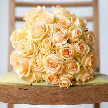 Peach Avalanche Garden Rose Seeds - Verdseeds