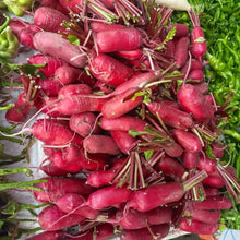 Pineapple Radish Seeds - Verdseeds