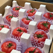 Pink Beauty Tomato Seeds - Verdseeds