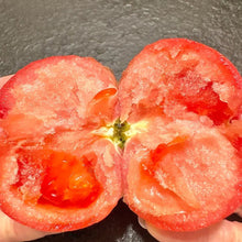 Pink Tomato Seeds - Verdseeds