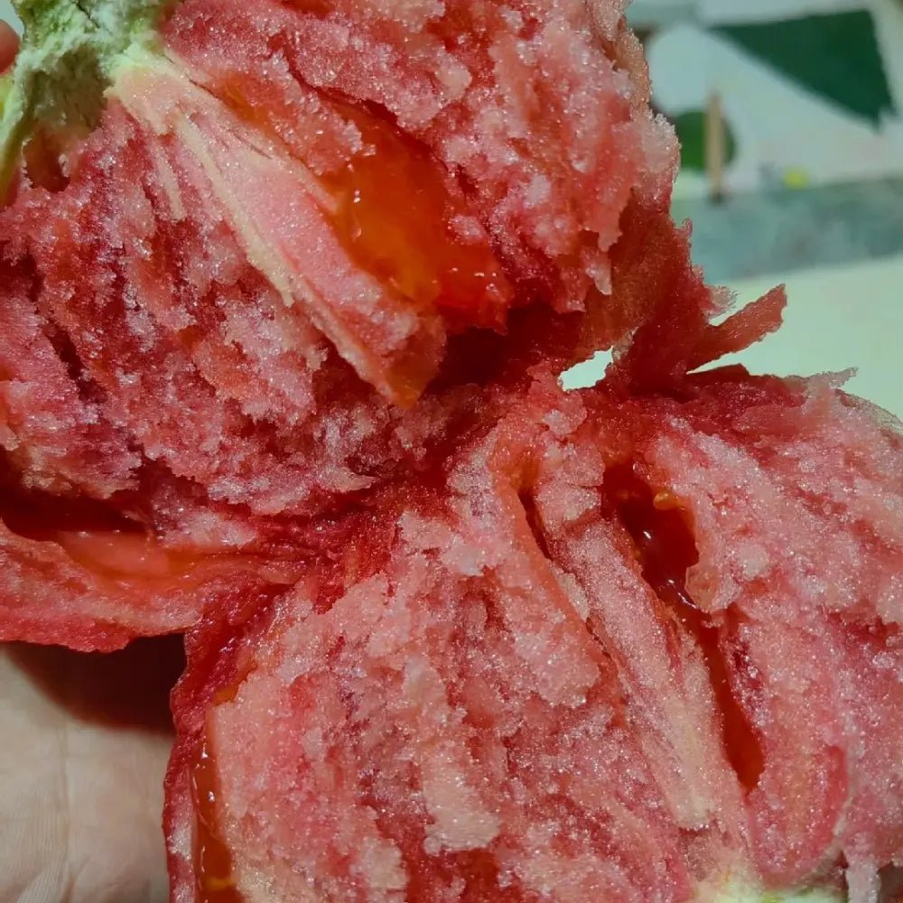 Pink Tomato Seeds - Verdseeds