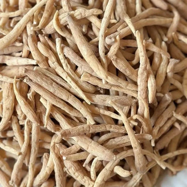 Prince Ginseng Seeds - Verdseeds