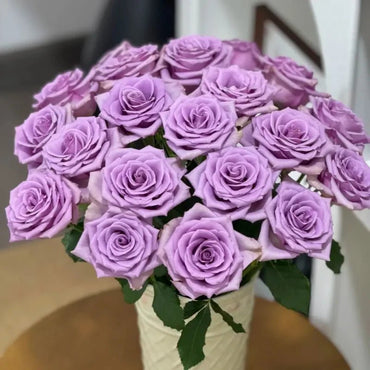 Purple Fairy Garden Rose Seeds - Verdseeds