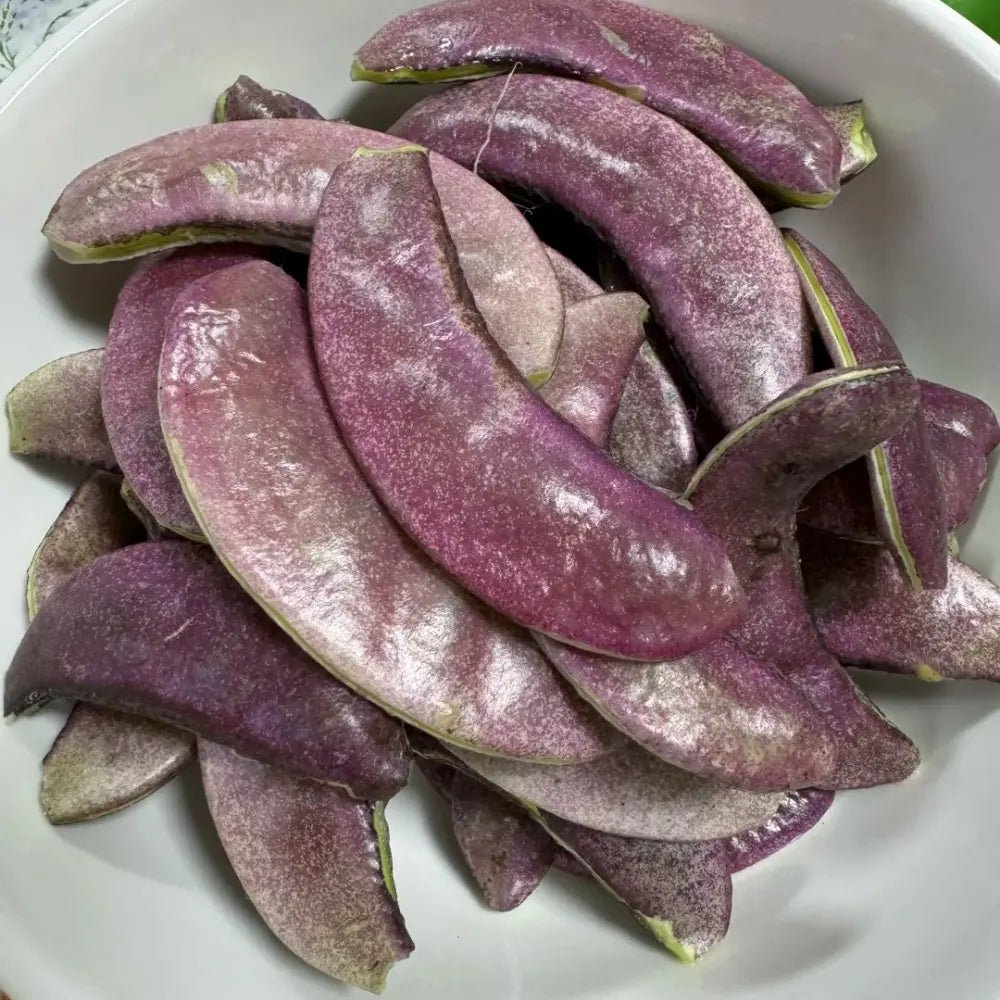 Purple Hyacinth Bean Seeds - Verdseeds
