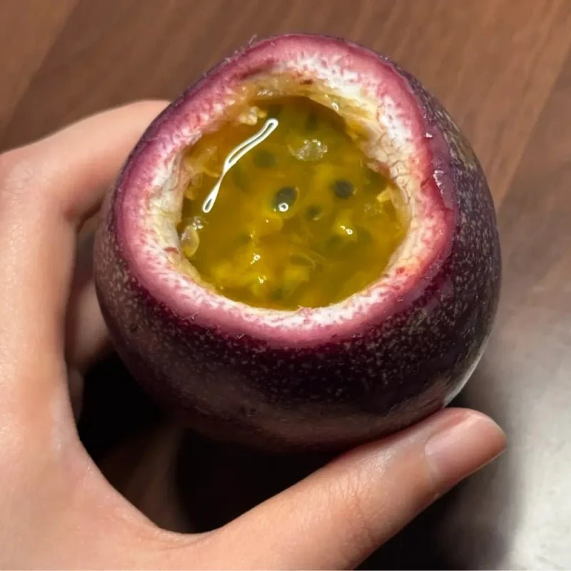 Purple Passion Fruit Seeds - Verdseeds