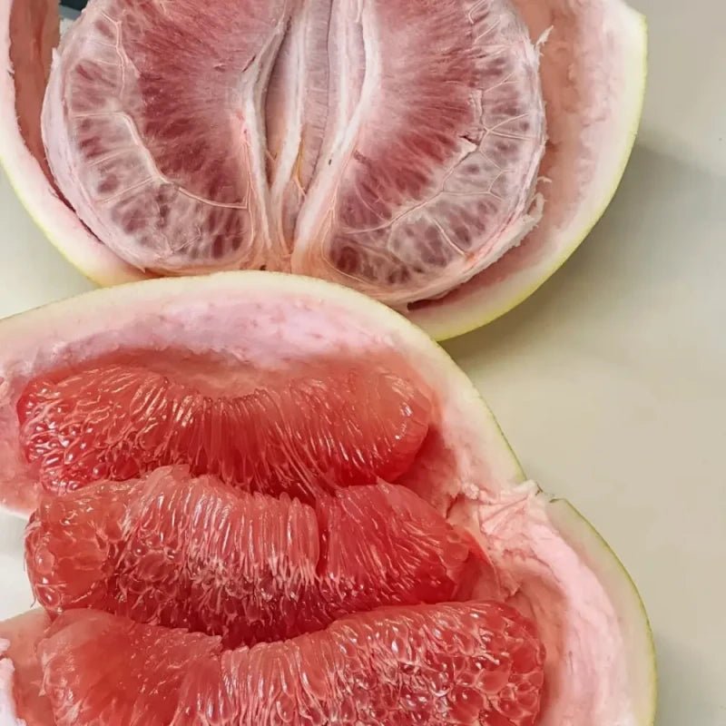 Red-Fleshed Pomelo Seeds - Verdseeds