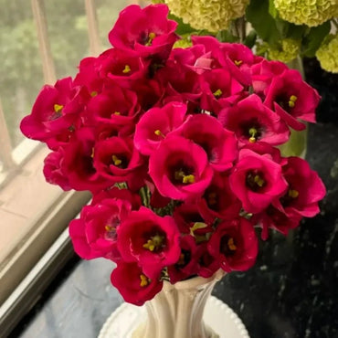 Red Lisianthus Seeds - Verdseeds
