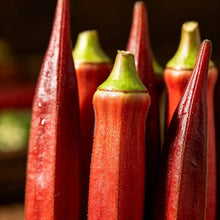 Red Okra Seeds - Verdseeds