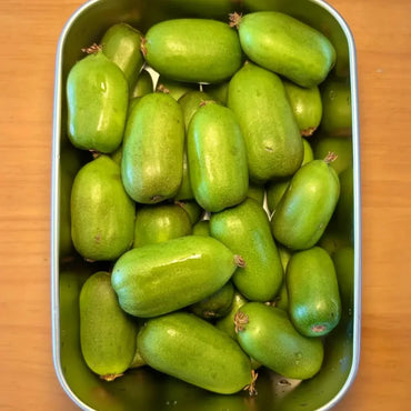 Hardy Kiwi Seeds