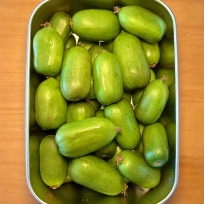 Hardy Kiwi Seeds