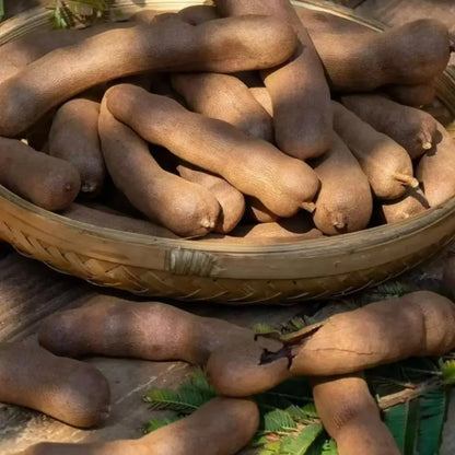 Tamarind Seeds