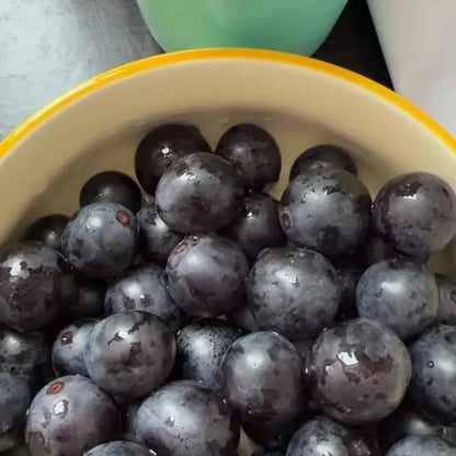 Summer Black Grape Seeds - Verdseeds