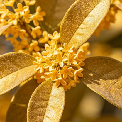Sun Spurge Seeds - Verdseeds