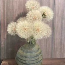 Super Dandelion Seeds - Verdseeds