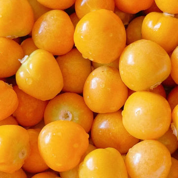 Ground Cherries