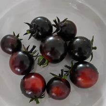 Vicente Large Purple Tomato Seeds - Verdseeds