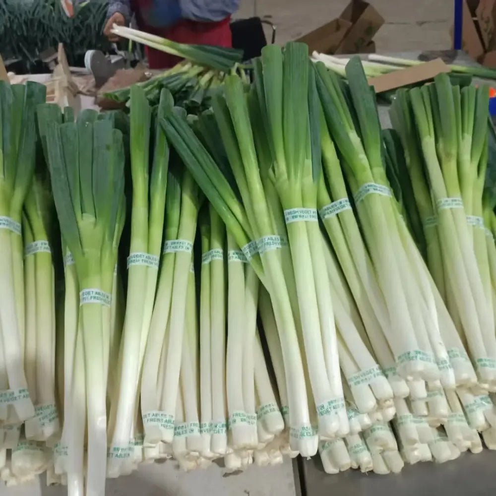 Welsh Onion Seeds - Verdseeds